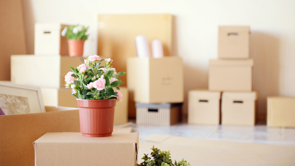 moving house
